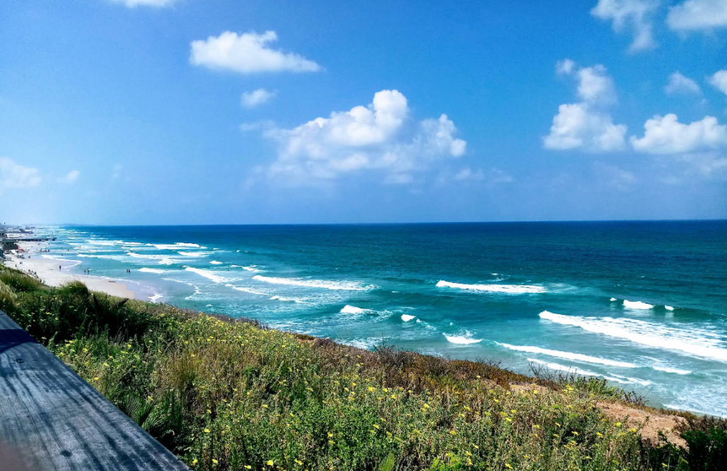 חוף הסלע בבת ים עם שוברי גלים וגולשי קייט באזור